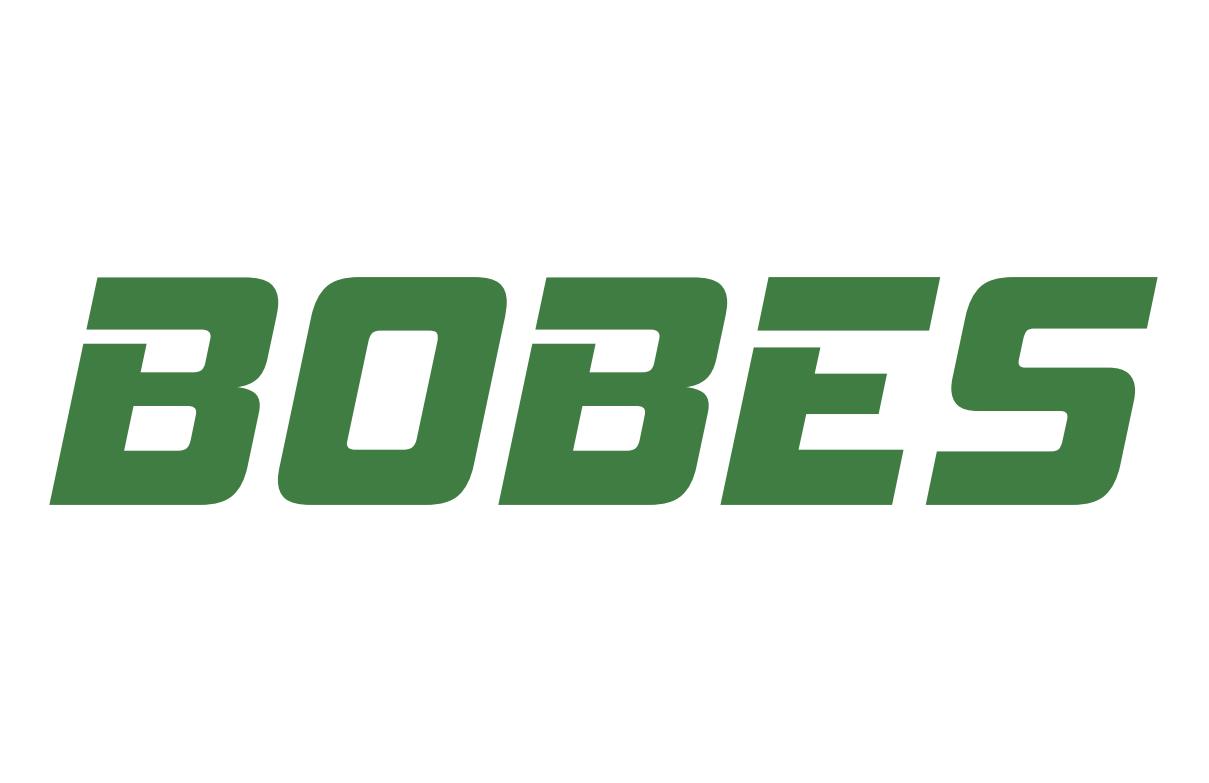 Dongguan Bobaisi New Energy Technology Co., Ltd.