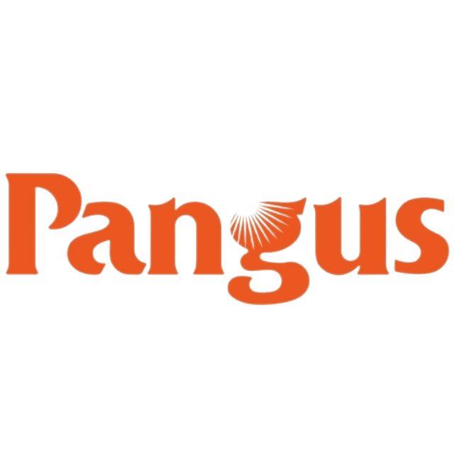 Guangdong Pangu Information Technology Co., Ltd.