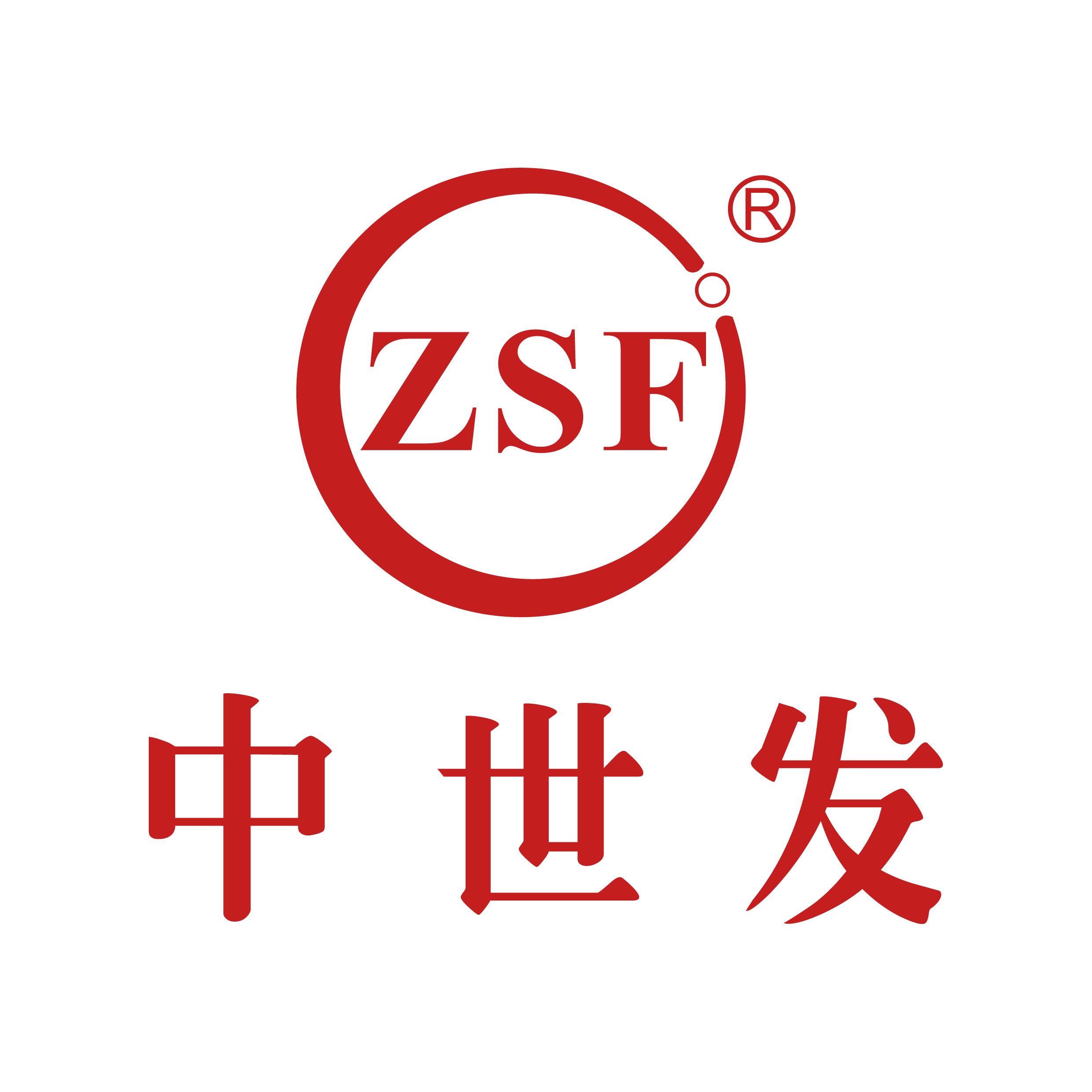 Guangdong Zhongshifa Intelligent Technology Co., Ltd.