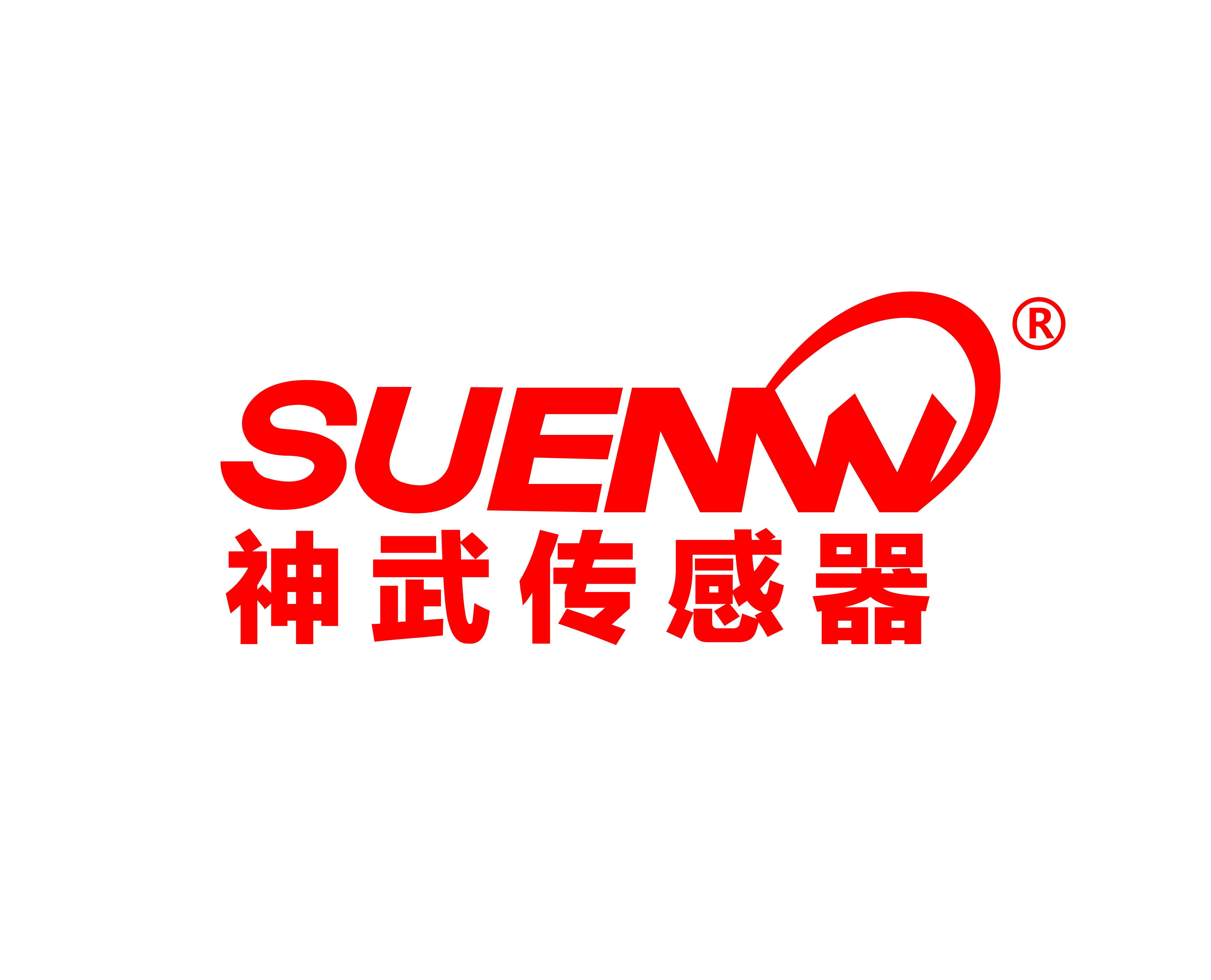 SHEN ZHEN SHENWU SENSOR CO.,LTD